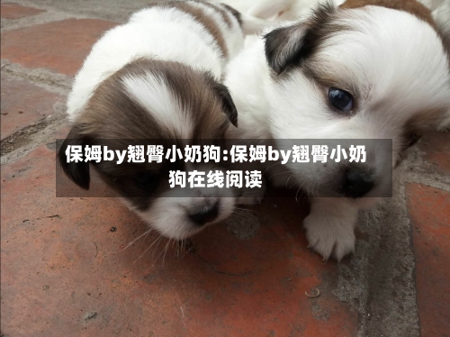 保姆by翘臀小奶狗:保姆by翘臀小奶狗在线阅读-第1张图片