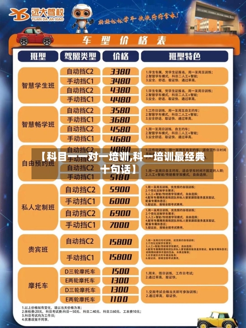 【科目一一对一培训,科一培训最经典十句话】-第1张图片