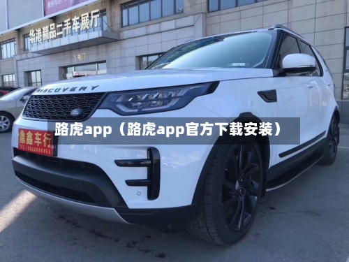 路虎app(路虎app官方下载安装)-第1张图片