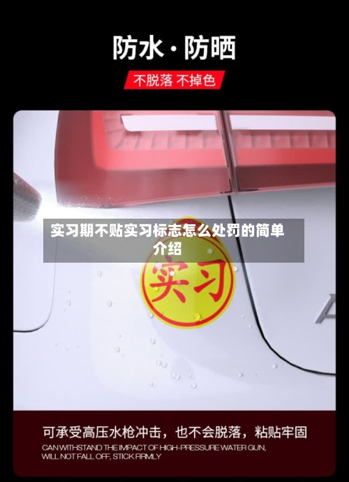 实习期不贴实习标志怎么处罚的简单介绍-第1张图片
