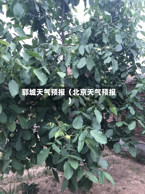 郓城天气预报（北京天气预报）-第1张图片