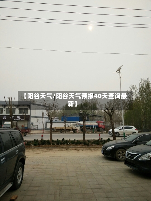 【阳谷天气/阳谷天气预报40天查询最新】-第1张图片