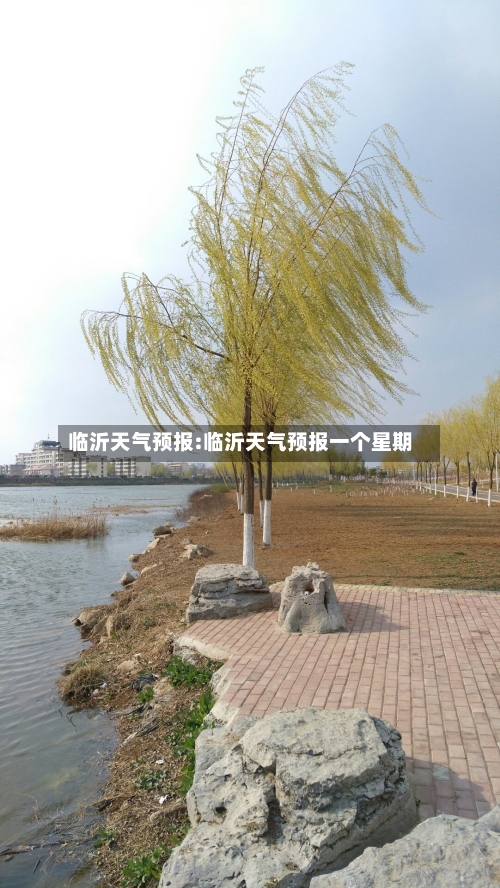 临沂天气预报:临沂天气预报一个星期-第1张图片