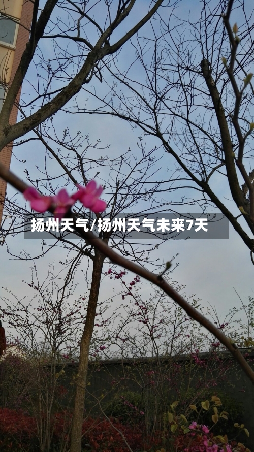 扬州天气/扬州天气未来7天-第1张图片