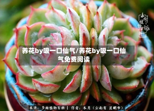 养花by吸一口仙气/养花by吸一口仙气免费阅读-第1张图片