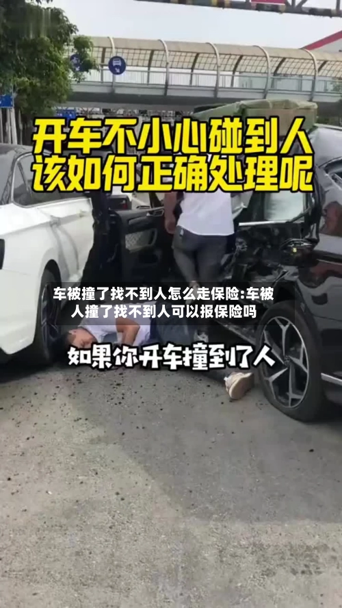 车被撞了找不到人怎么走保险:车被人撞了找不到人可以报保险吗-第1张图片