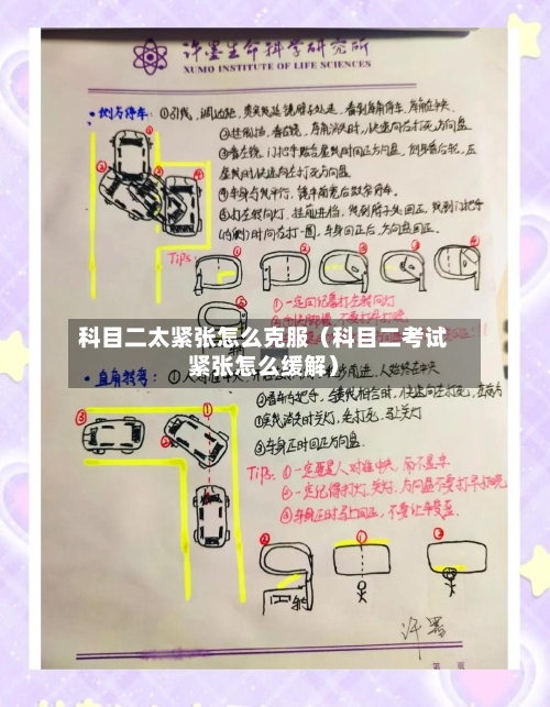 科目二太紧张怎么克服(科目二考试紧张怎么缓解)-第1张图片