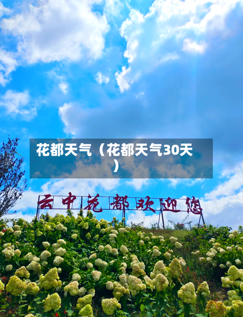 花都天气(花都天气30天)-第1张图片