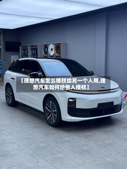 【理想汽车怎么授权给另一个人用,理想汽车如何给他人授权】-第1张图片