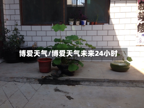 博爱天气/博爱天气未来24小时-第1张图片