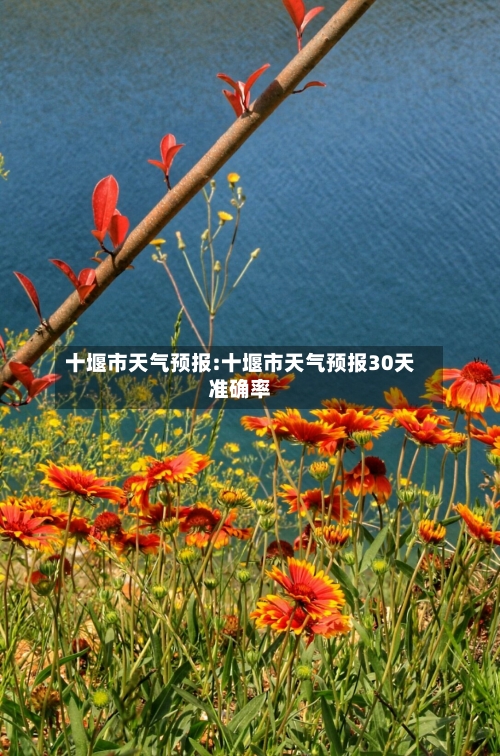 十堰市天气预报:十堰市天气预报30天准确率-第1张图片