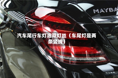 汽车尾行车灯泡双灯丝（车尾灯是两条竖线）-第1张图片