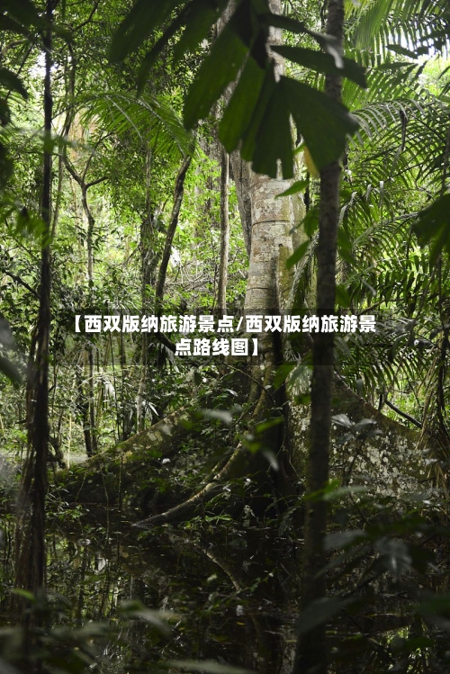 【西双版纳旅游景点/西双版纳旅游景点路线图】-第1张图片