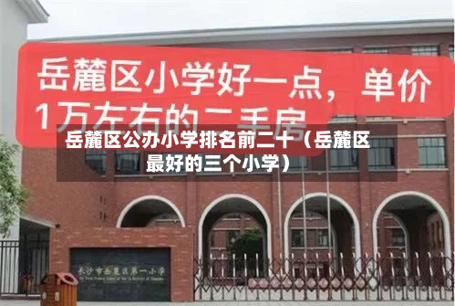 岳麓区公办小学排名前二十(岳麓区最好的三个小学)-第1张图片
