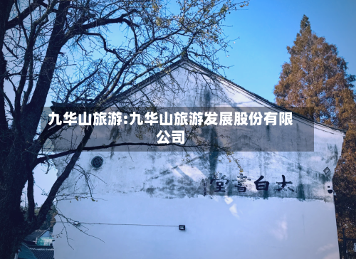 九华山旅游:九华山旅游发展股份有限公司-第1张图片