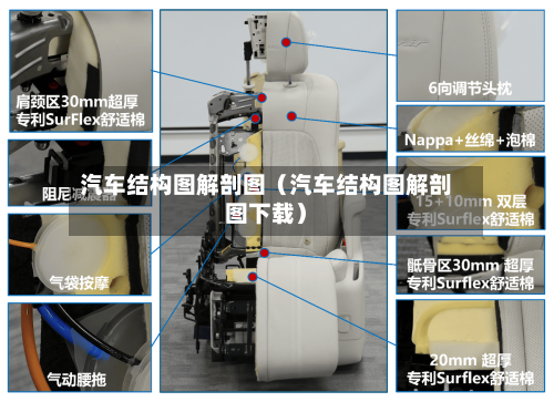 汽车结构图解剖图(汽车结构图解剖图下载)-第1张图片