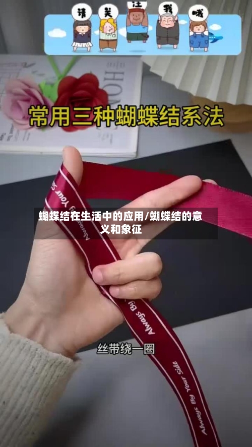 蝴蝶结在生活中的应用/蝴蝶结的意义和象征-第1张图片