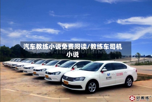 汽车教练小说免费阅读/教练车司机小说-第1张图片