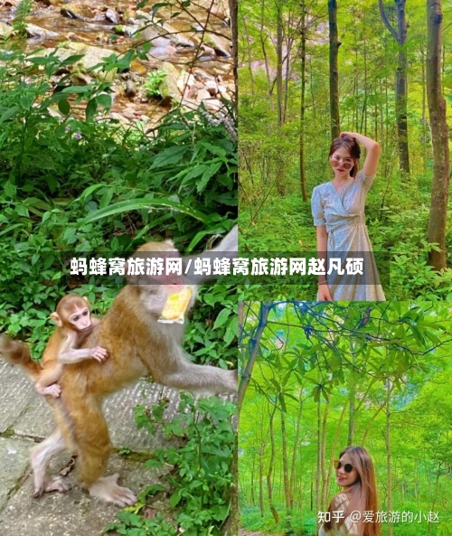 蚂蜂窝旅游网/蚂蜂窝旅游网赵凡硕-第1张图片