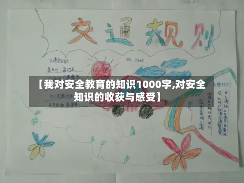 【我对安全教育的知识1000字,对安全知识的收获与感受】-第1张图片