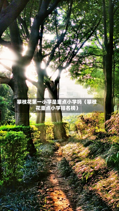 攀枝花第一小学是重点小学吗（攀枝花重点小学排名榜）-第1张图片