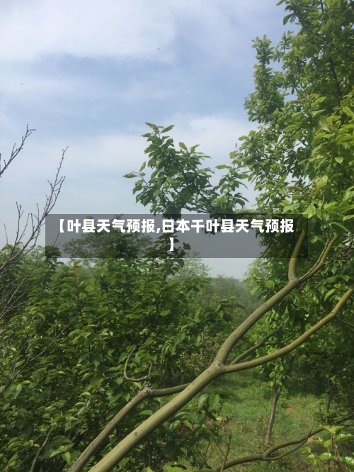 【叶县天气预报,日本千叶县天气预报】-第1张图片