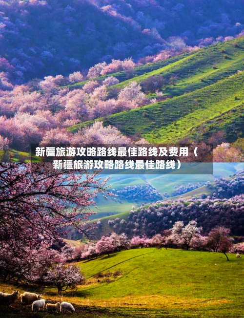新疆旅游攻略路线最佳路线及费用(新疆旅游攻略路线最佳路线)-第1张图片