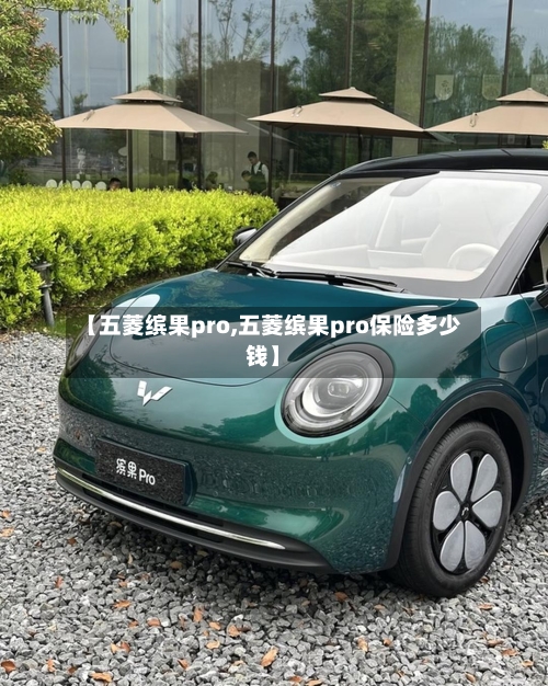 【五菱缤果pro,五菱缤果pro保险多少钱】-第1张图片