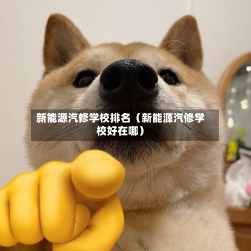 新能源汽修学校排名（新能源汽修学校好在哪）-第1张图片