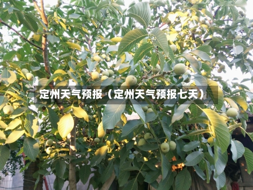定州天气预报(定州天气预报七天)-第1张图片