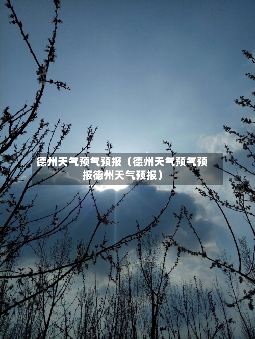德州天气预气预报(德州天气预气预报德州天气预报)-第1张图片