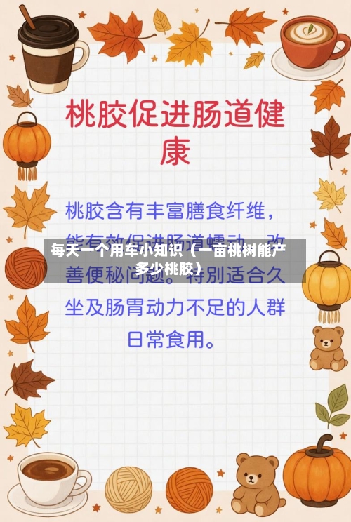 每天一个用车小知识（一亩桃树能产多少桃胶）-第1张图片