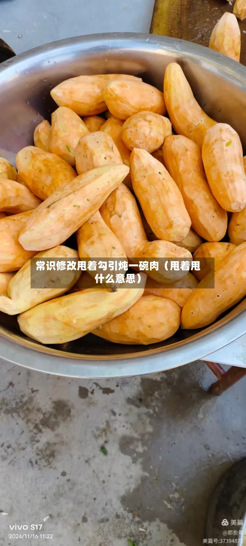 常识修改甩着勾引炖一碗肉(甩着甩什么意思)-第1张图片