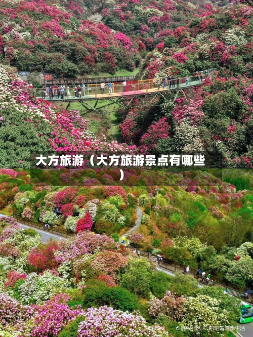 大方旅游（大方旅游景点有哪些）-第1张图片