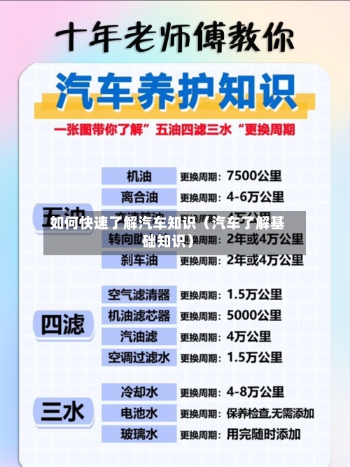 如何快速了解汽车知识(汽车了解基础知识)-第1张图片