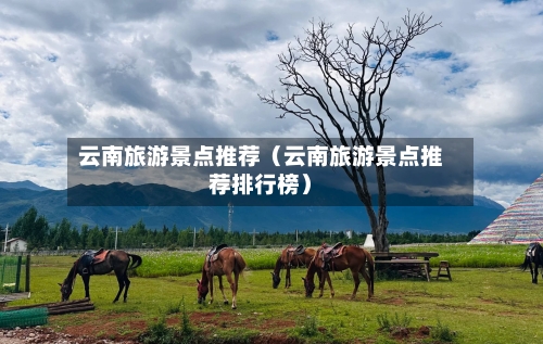 云南旅游景点推荐(云南旅游景点推荐排行榜)-第1张图片