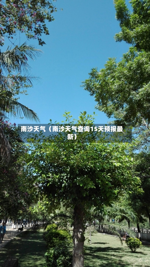 南沙天气(南沙天气查询15天预报最新)-第1张图片