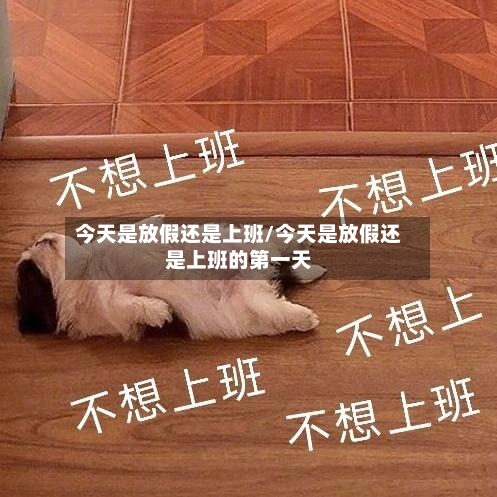 今天是放假还是上班/今天是放假还是上班的第一天-第1张图片