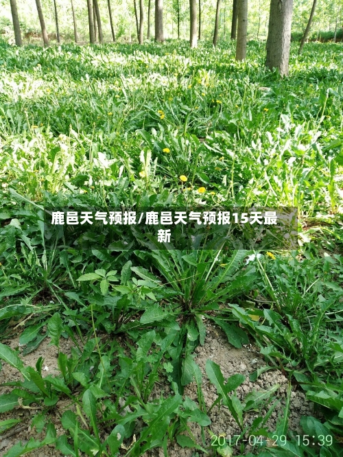 鹿邑天气预报/鹿邑天气预报15天最新-第1张图片