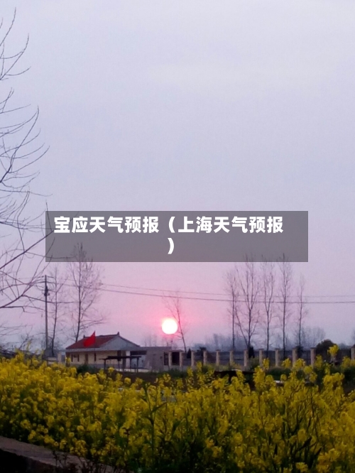 宝应天气预报(上海天气预报)-第1张图片