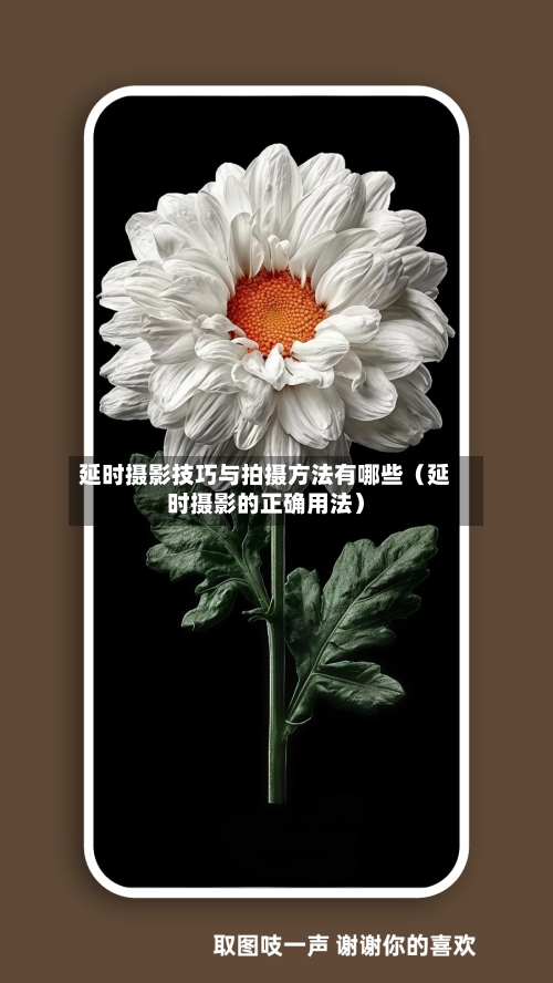 延时摄影技巧与拍摄方法有哪些(延时摄影的正确用法)-第1张图片