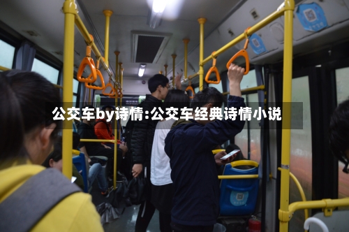公交车by诗情:公交车经典诗情小说-第1张图片