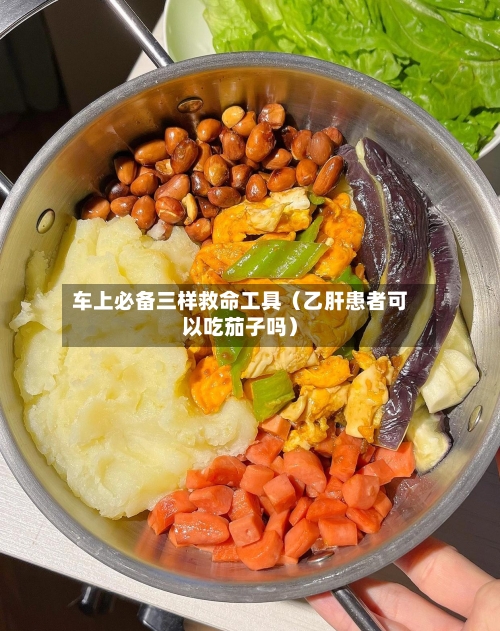 车上必备三样救命工具（乙肝患者可以吃茄子吗）-第1张图片