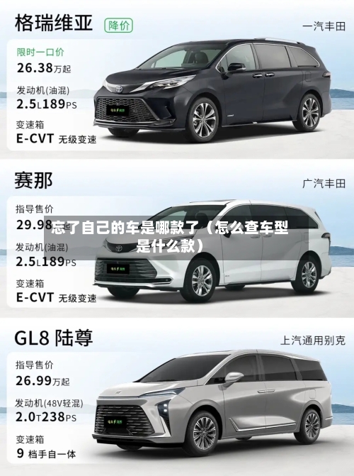 忘了自己的车是哪款了（怎么查车型是什么款）-第1张图片