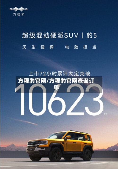 方程豹官网/方程豹官网查询订单-第1张图片