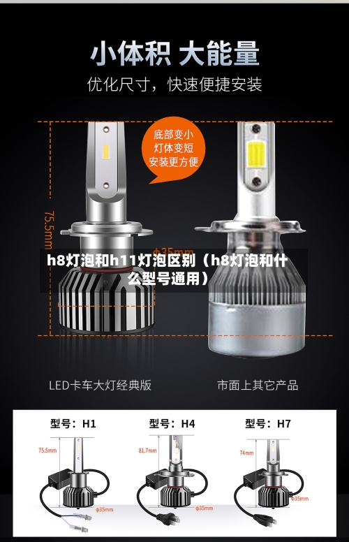 h8灯泡和h11灯泡区别（h8灯泡和什么型号通用）-第1张图片
