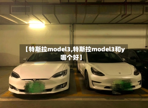 【特斯拉model3,特斯拉model3和y哪个好】-第1张图片