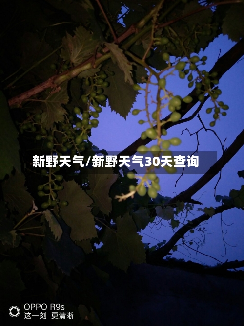 新野天气/新野天气30天查询-第1张图片