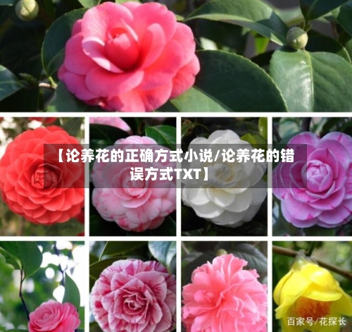 【论养花的正确方式小说/论养花的错误方式TXT】-第1张图片