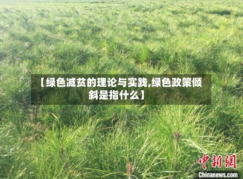 【绿色减贫的理论与实践,绿色政策倾斜是指什么】-第1张图片